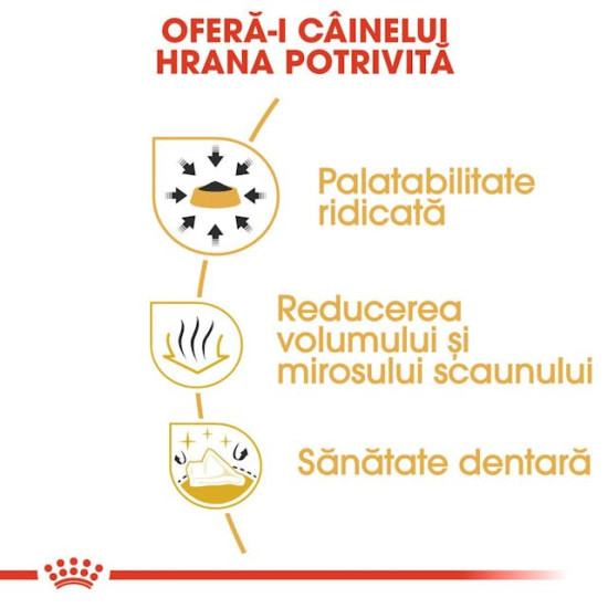 Royal Canin Chihuahua Adult – Hrană Uscată pentru Câini Adulți din Rasa Chihuahua – 1,5 kg